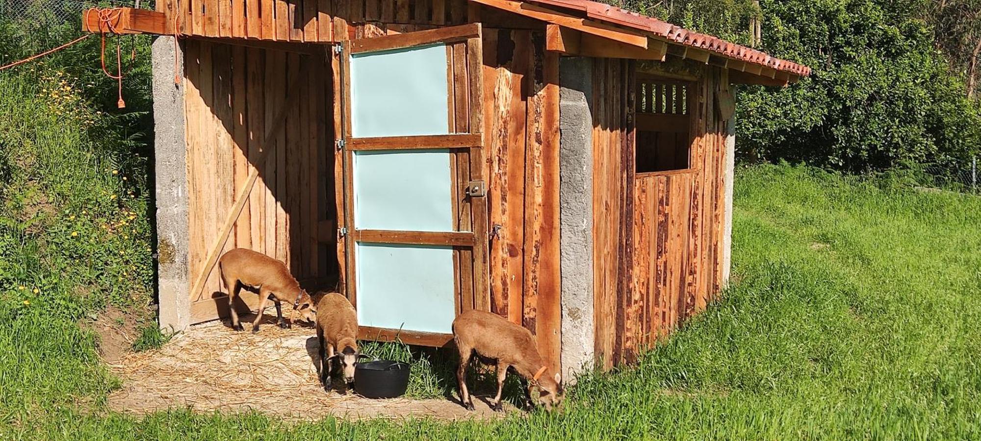 Quinta Da Tapada Lägenhet Longos Exteriör bild