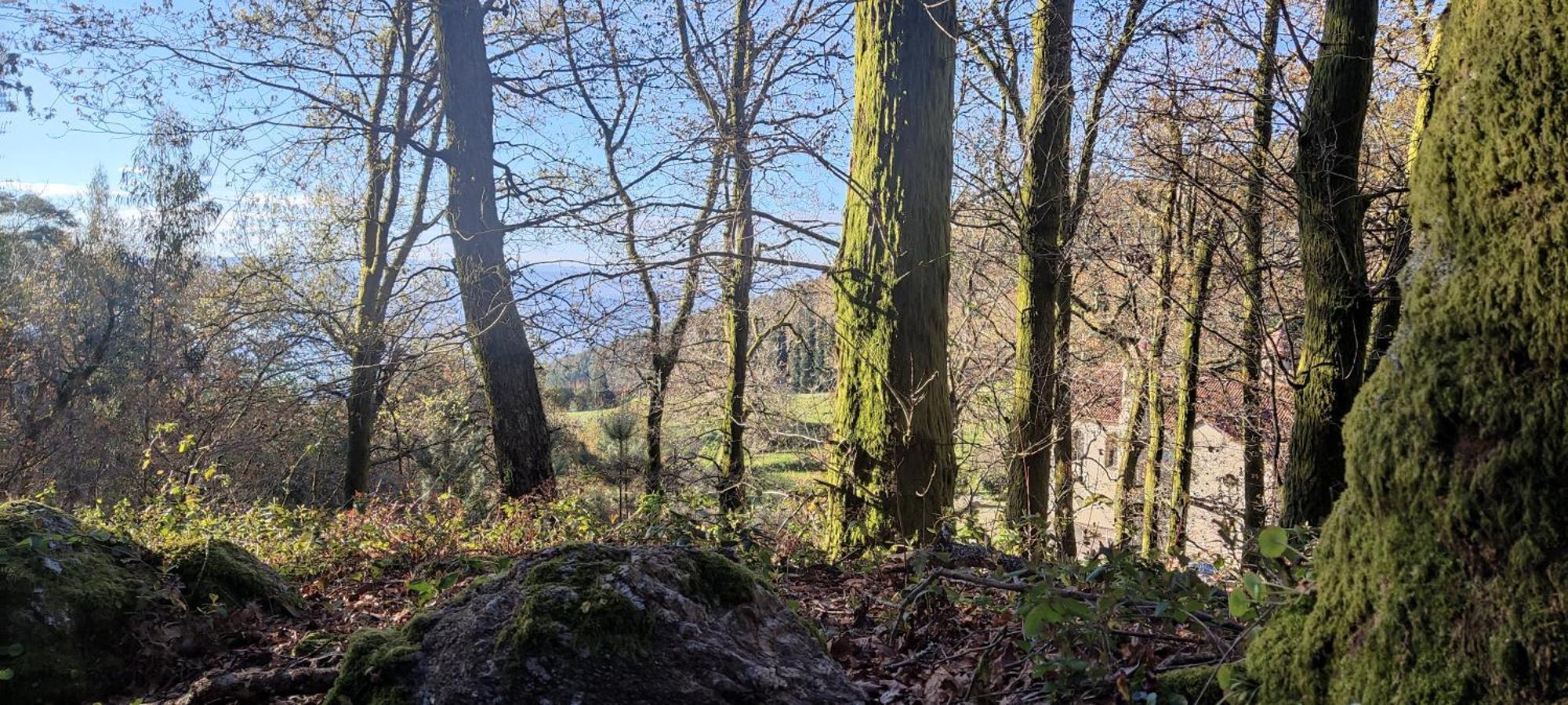 Quinta Da Tapada Lägenhet Longos Exteriör bild